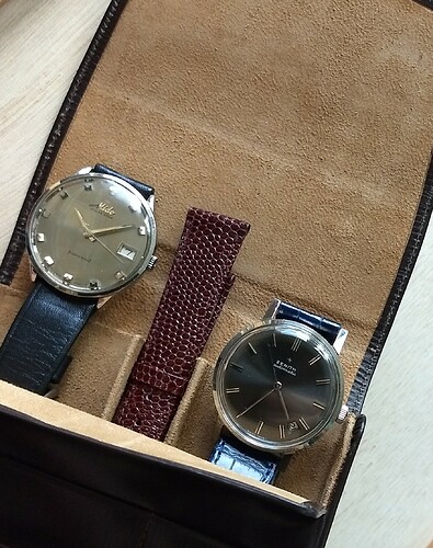 IMG_20221025_154947164~2