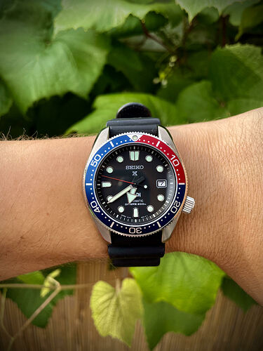 Seiko SPB087 PADI
