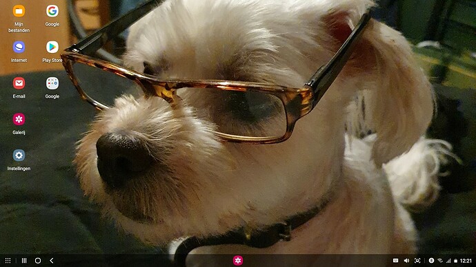 Screenshot_20210314-122100_Samsung DeX home HOND