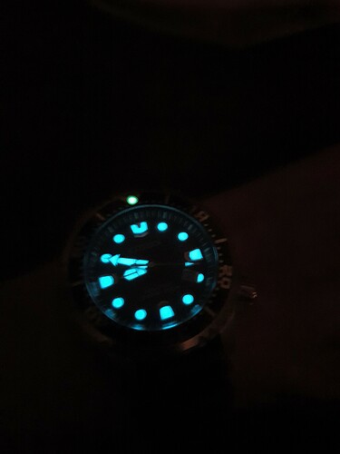 Lume Promaster Eco-Diver