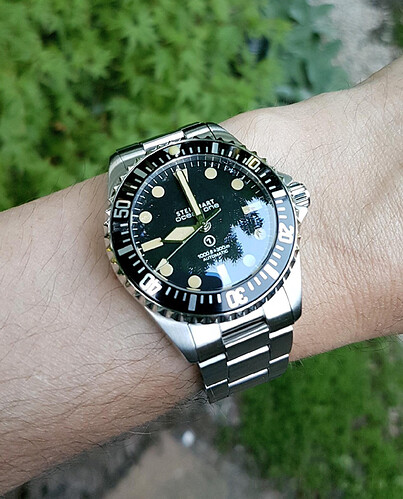 OVM 2