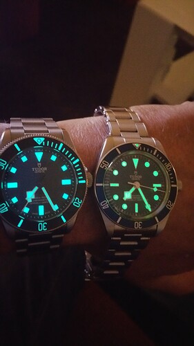 Tudor 10