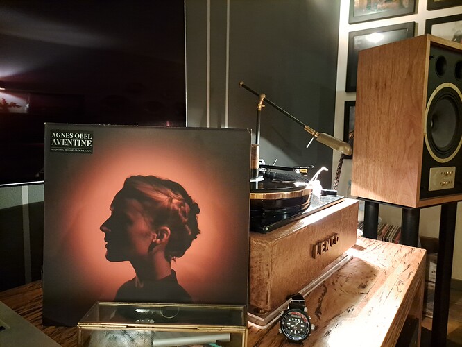 Agnes Obel