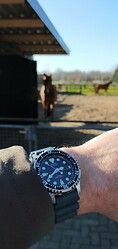 IMG_20210227_144127
