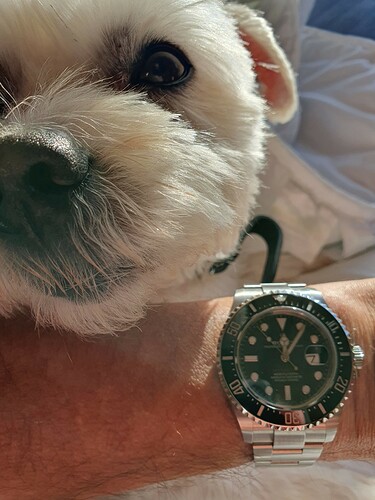 Seadweller 17e