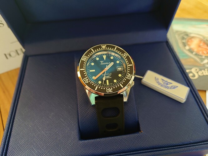 Squale 6