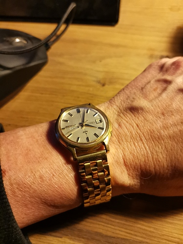 16082174394107077029637729730231