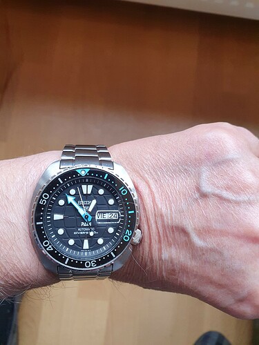 Seiko Padi king turtle