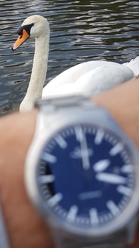20190621_172331