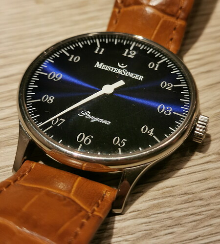 Meistersinger Pangaea PM308 (1)