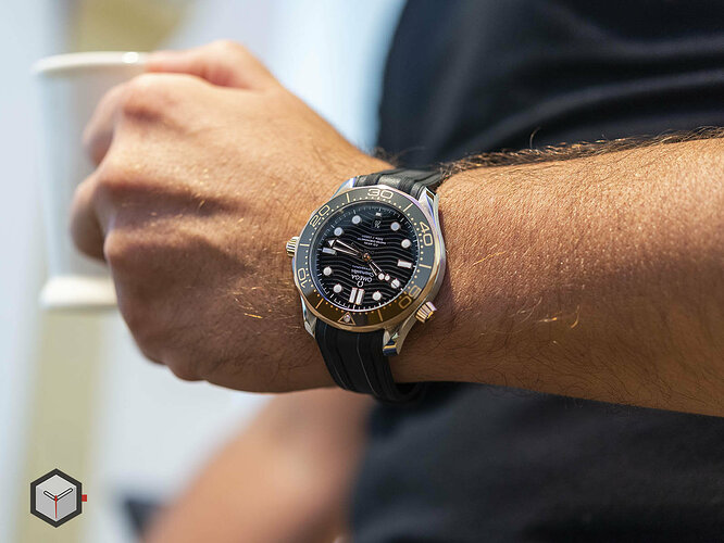 210-22-42-20-01-002-omega-seamaster-diver-300m-42mm-11