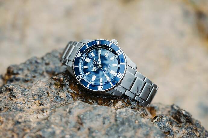 Citizen_Fujitsubo_NB6021_68L_09