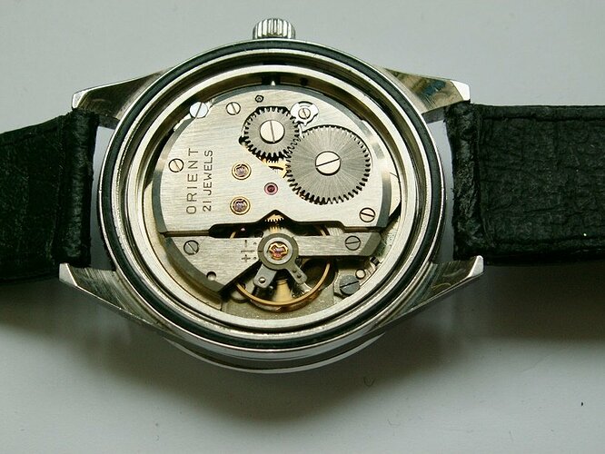 orient swimmer b