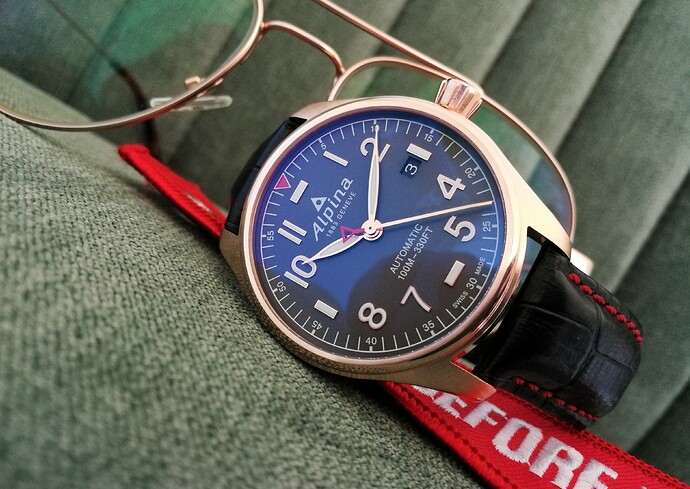 Alpina startimer