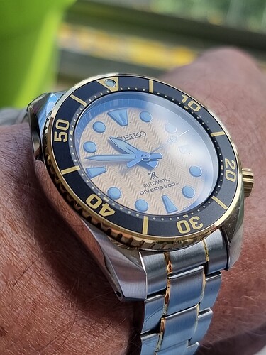16550235863583644023325909250032