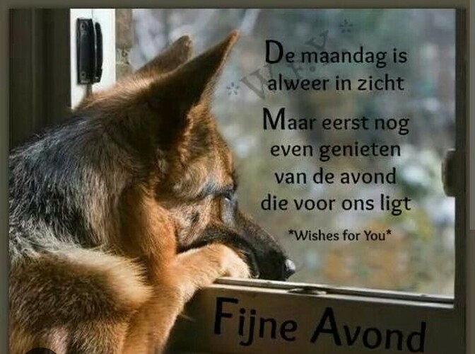 Zondagavond