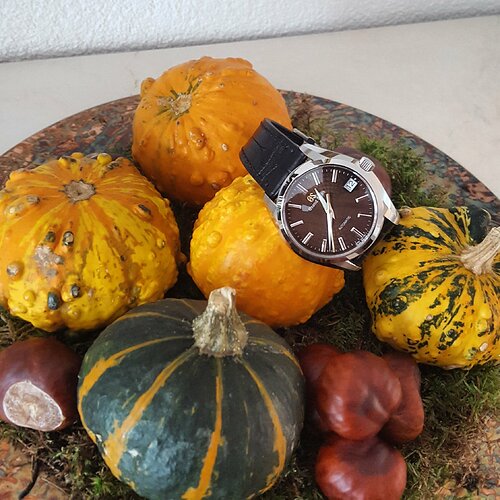 IMG_20191012_124247_874