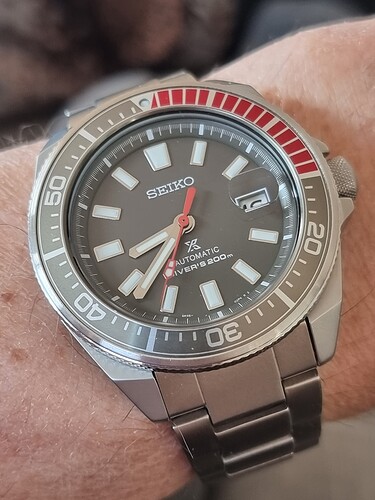 16500910573483789293118317304105