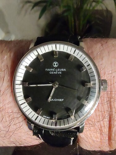 16813610432717253545471233560796