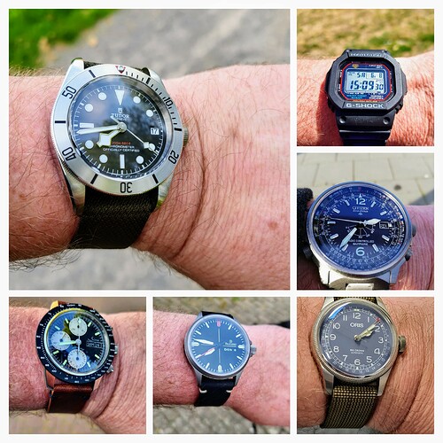 20230817_113013-COLLAGE