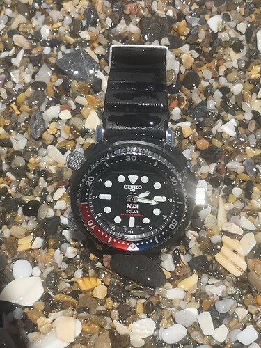 seiko padi in de zee