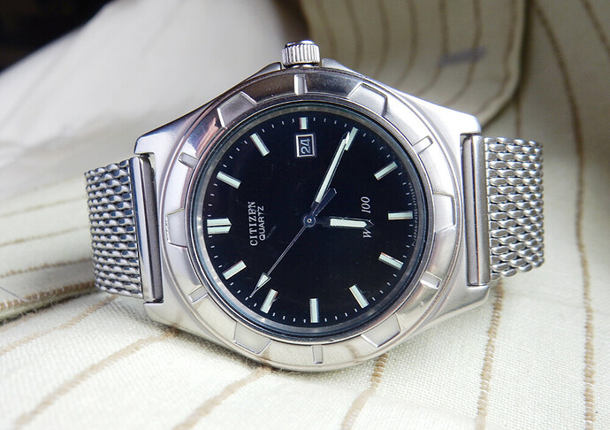 Citizen WR100 mesh