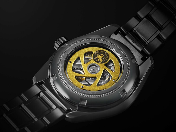 03_SBGJ255_caseback