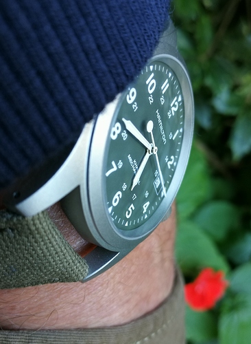 khaki field