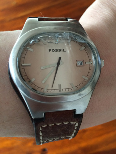 fossil