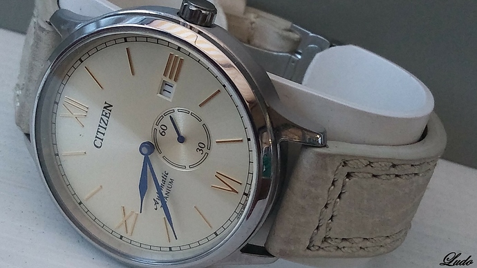 citizen - NJ0090-13P