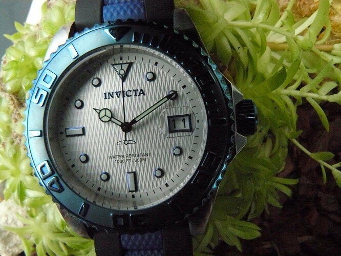 Invicta (5)