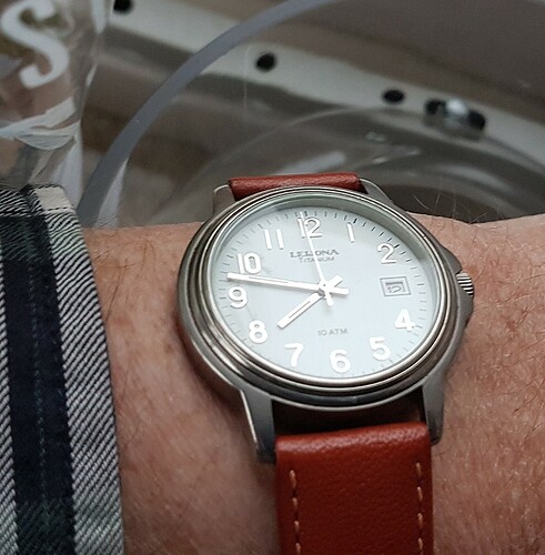 Leijona quartz titanium(1) 12-04-20-23