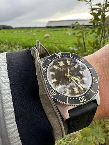 Seiko