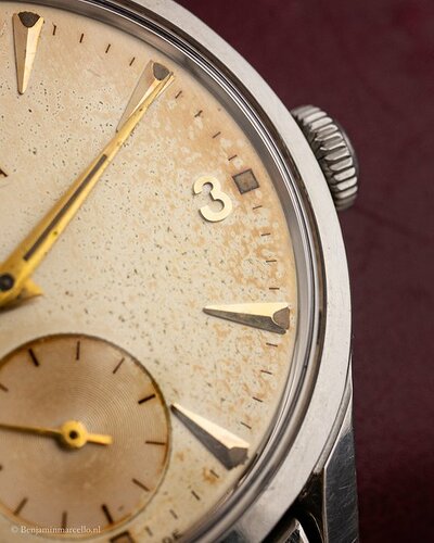 ec51856b-5565-4999-89b6-a6998ebf930a