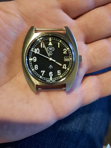 16089945256894661392546802630076