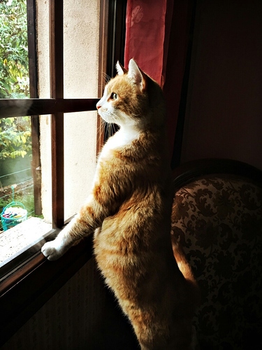 tumblr_nw9wpc8H8u1t3se5wo1_1280