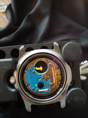 www.watchuseek