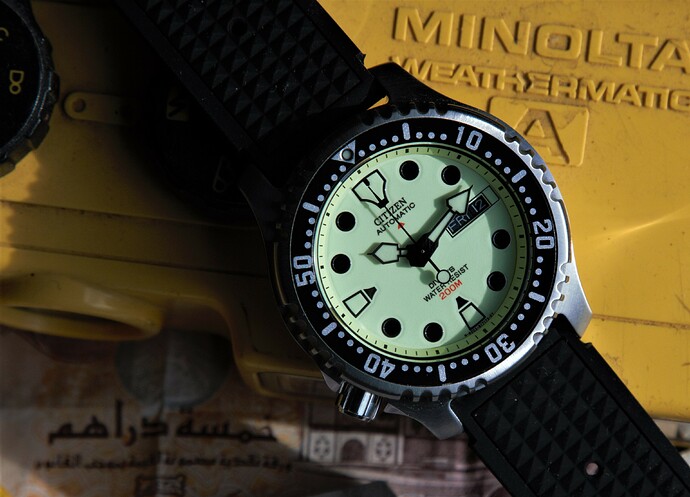 IMGL0076 (2)