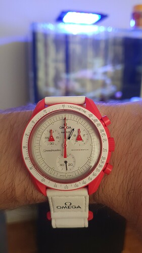 IMG-20230729-WA0010