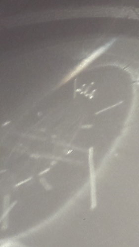 20191029_163709