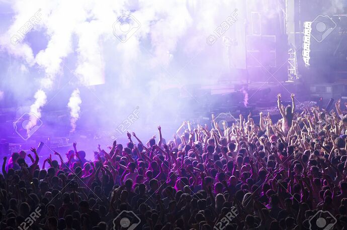 46963270-cheering-crowd-at-a-concert