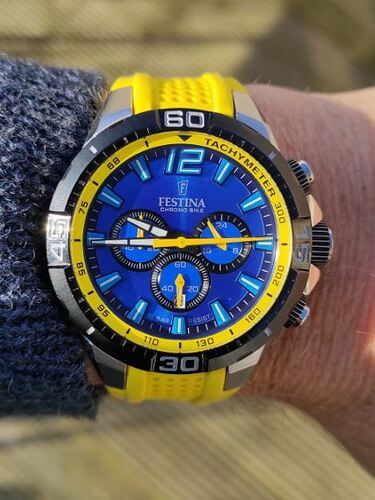 Festina