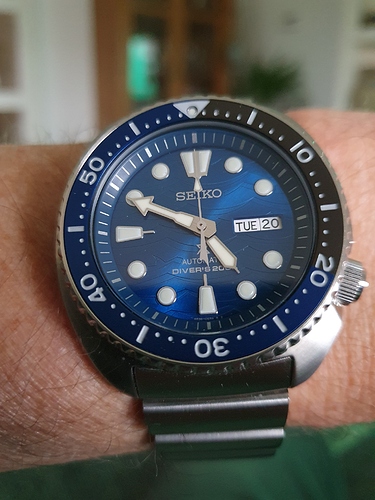 16032053086905101998434793954394