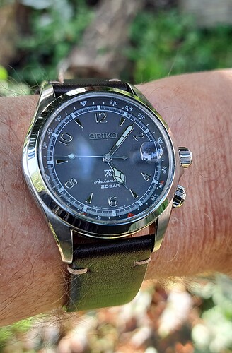 Seiko Alpinist (1A lu) 17-10-2023
