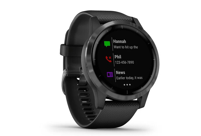 Garmin-Vivoactive-4-2