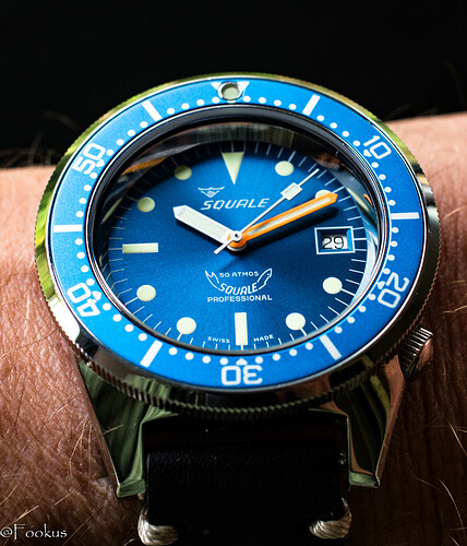 squale (2 of 12)