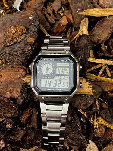 Casio royale