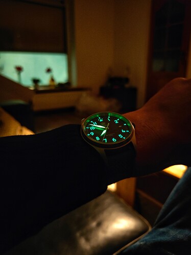 IMG20220311195134-01