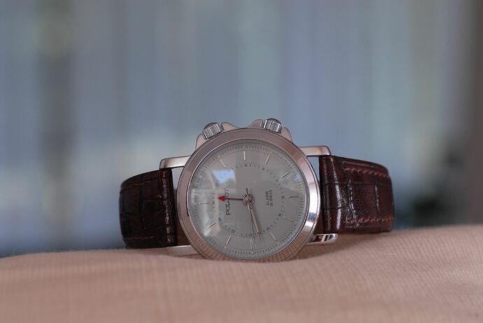 Poljot alarm limited