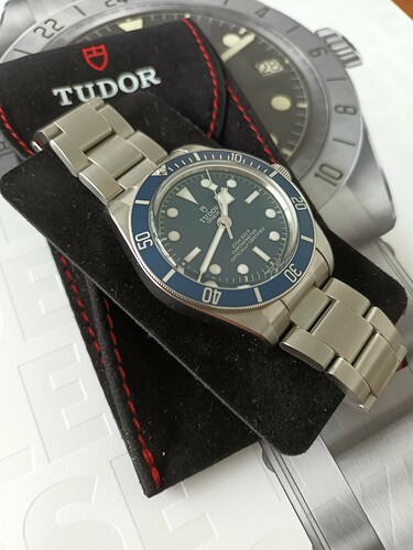 Tudor non-rivets 2